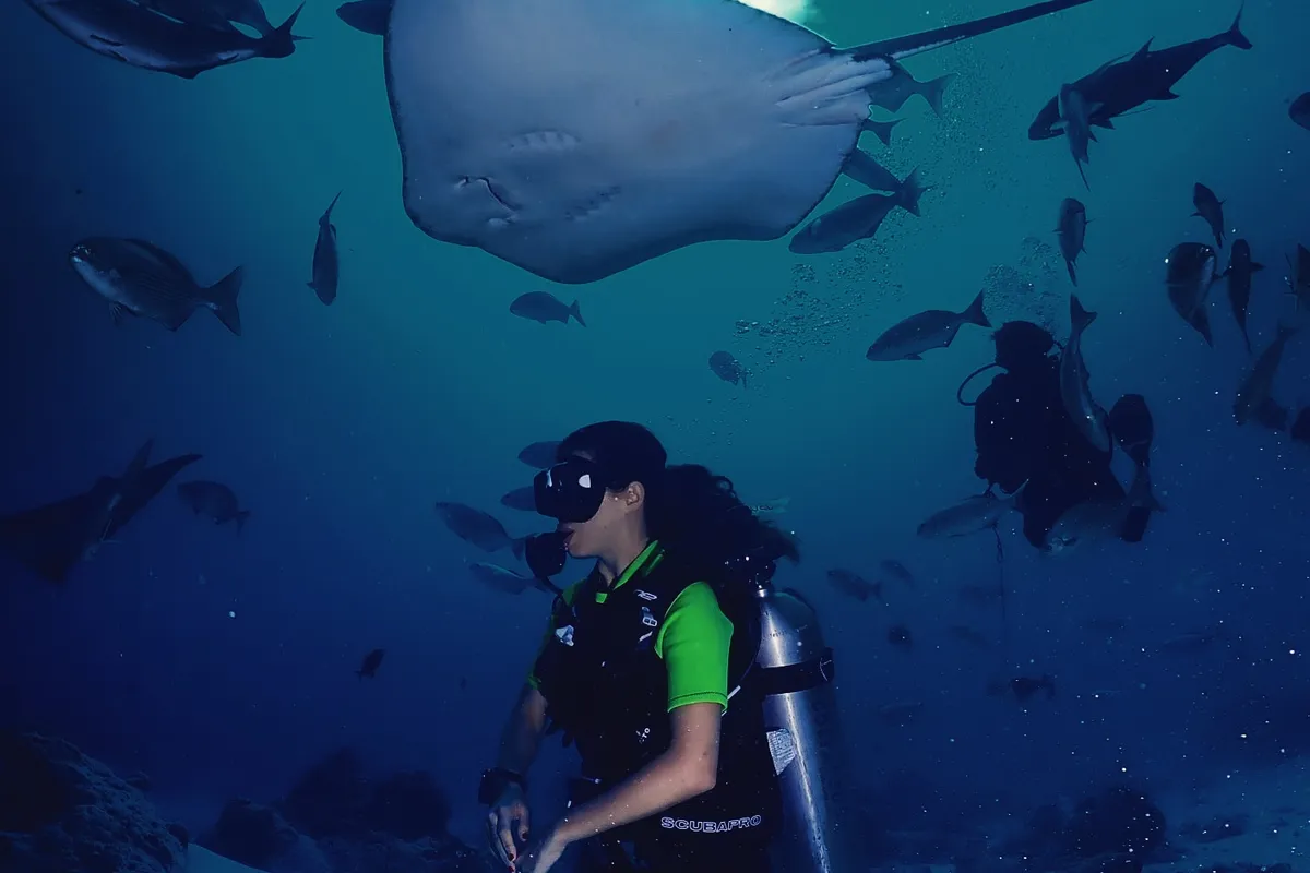 10 Best Diving Resorts in Maldives 2026