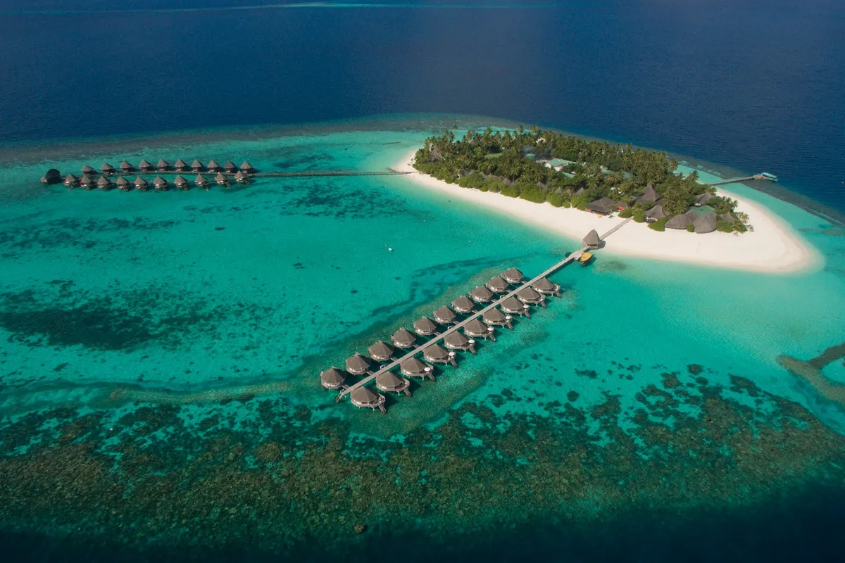 12 Best House Reefs in Maldives 2026: Snorkel from Your Villa - Maldives travel guide