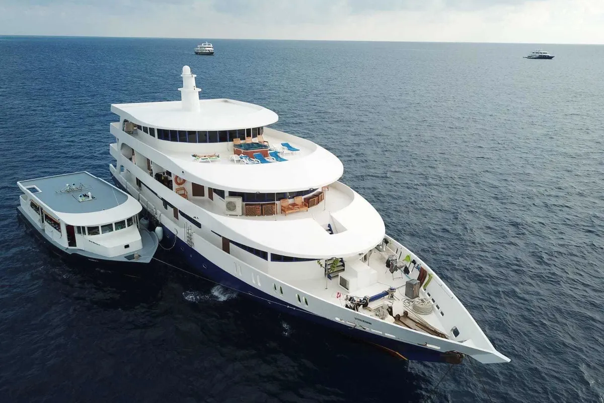 Blue Shark (Blue Shark Safari Boat)