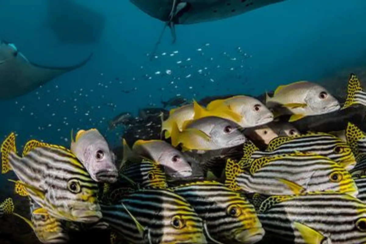 Exclusive Group Charter