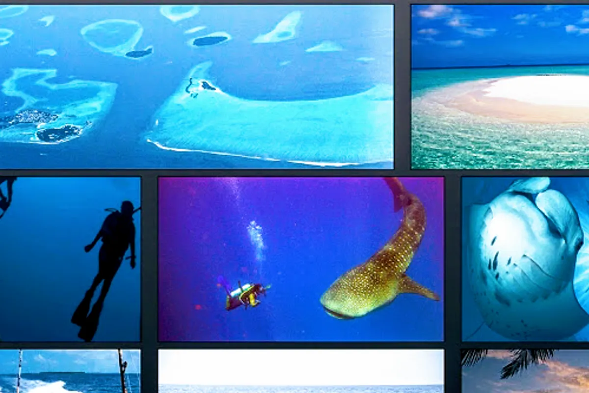 Gulfaam Maldives Liveaboard Group Charter