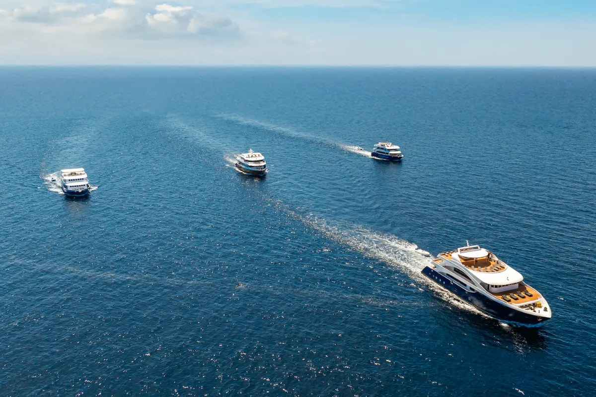 Infinity X Maldives Group Charter