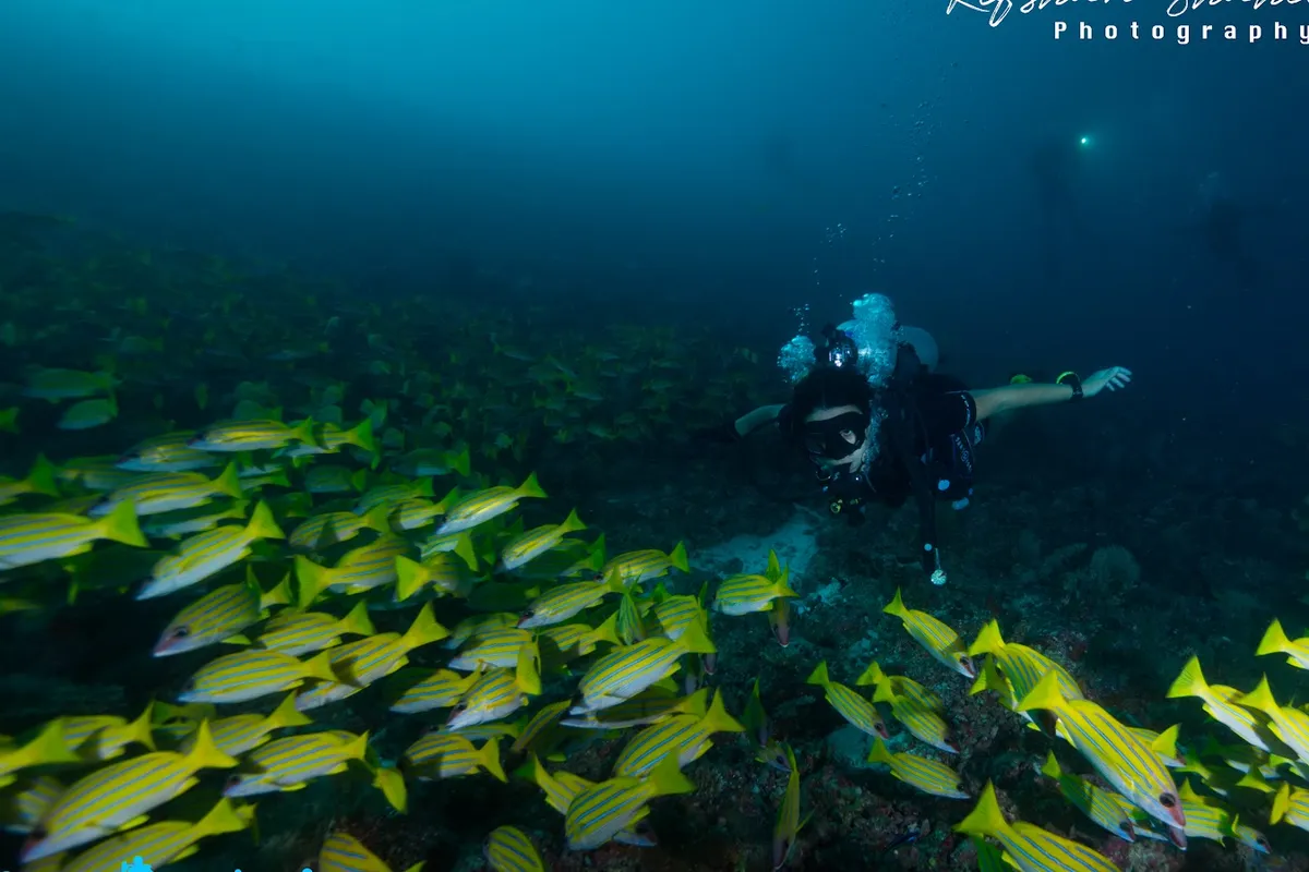 Ocean Divine Maldives Group