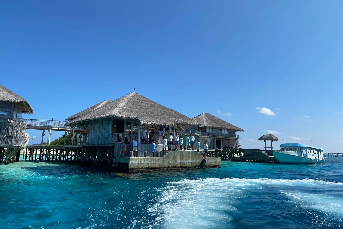 Six Senses Laamu vs Hurawalhi: Best for Diving & Marine Life