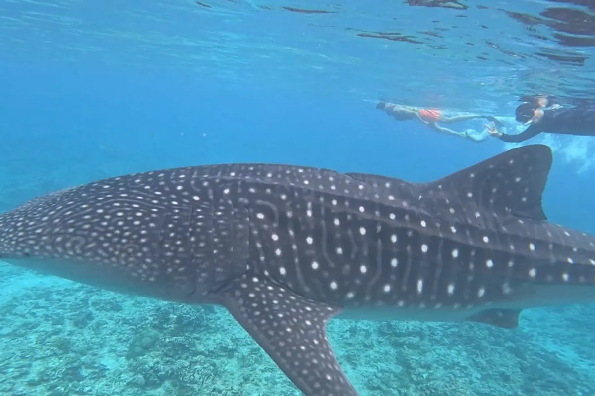 Perfect 3-Day Maldives Itinerary - Maldives travel guide