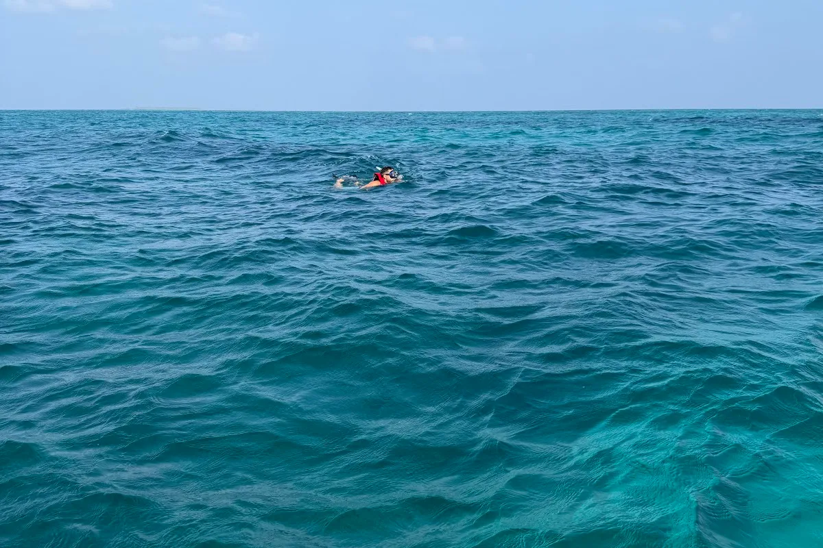 Maldives Diving Trip: Complete Planning Guide for Divers - Maldives travel guide