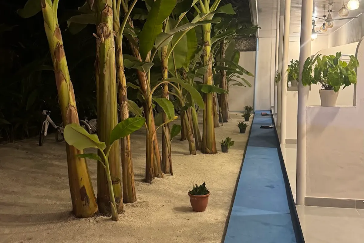 Aashaan View Thoddoo