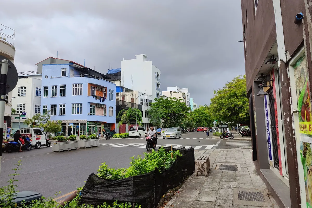 Coconut Tree Hulhuvilla Beach