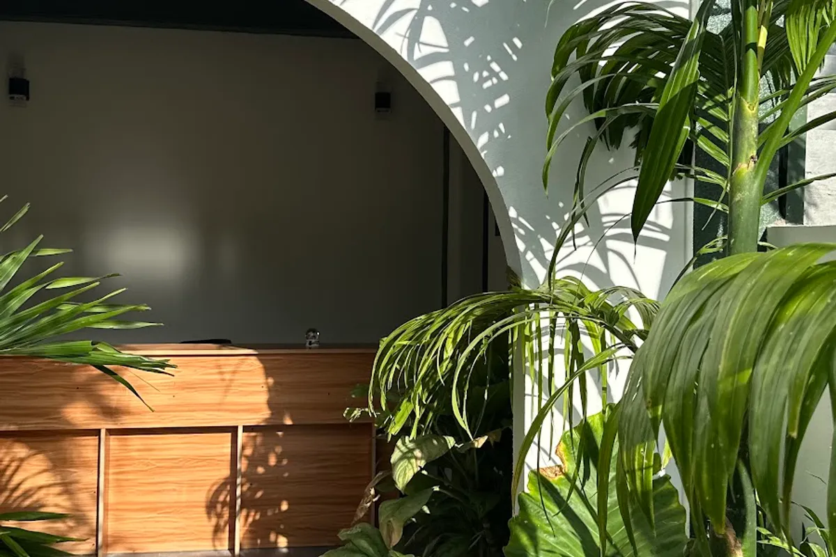 Dacha Thoddoo White Sand