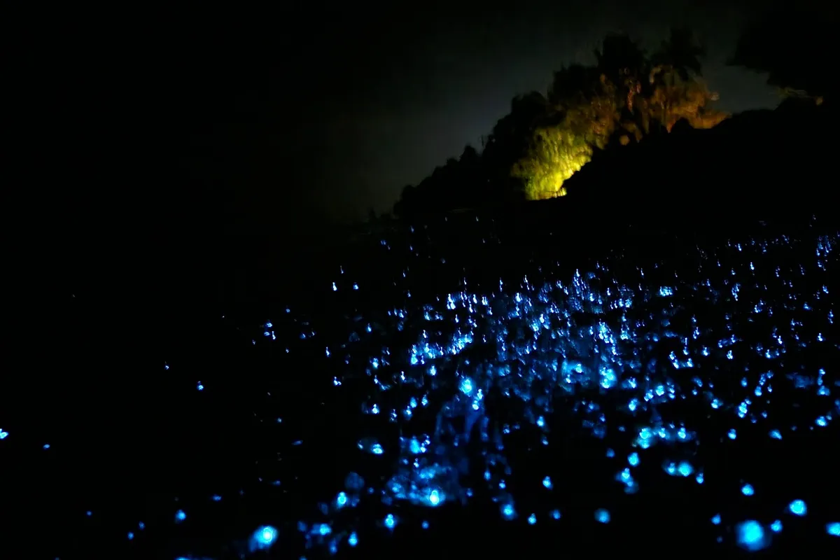 Dhigurah Dhonveli Boutique