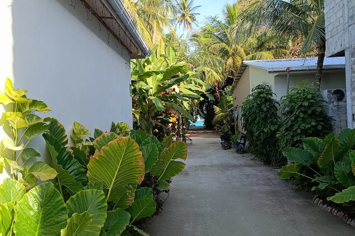 Infinity Beach Dhigurah