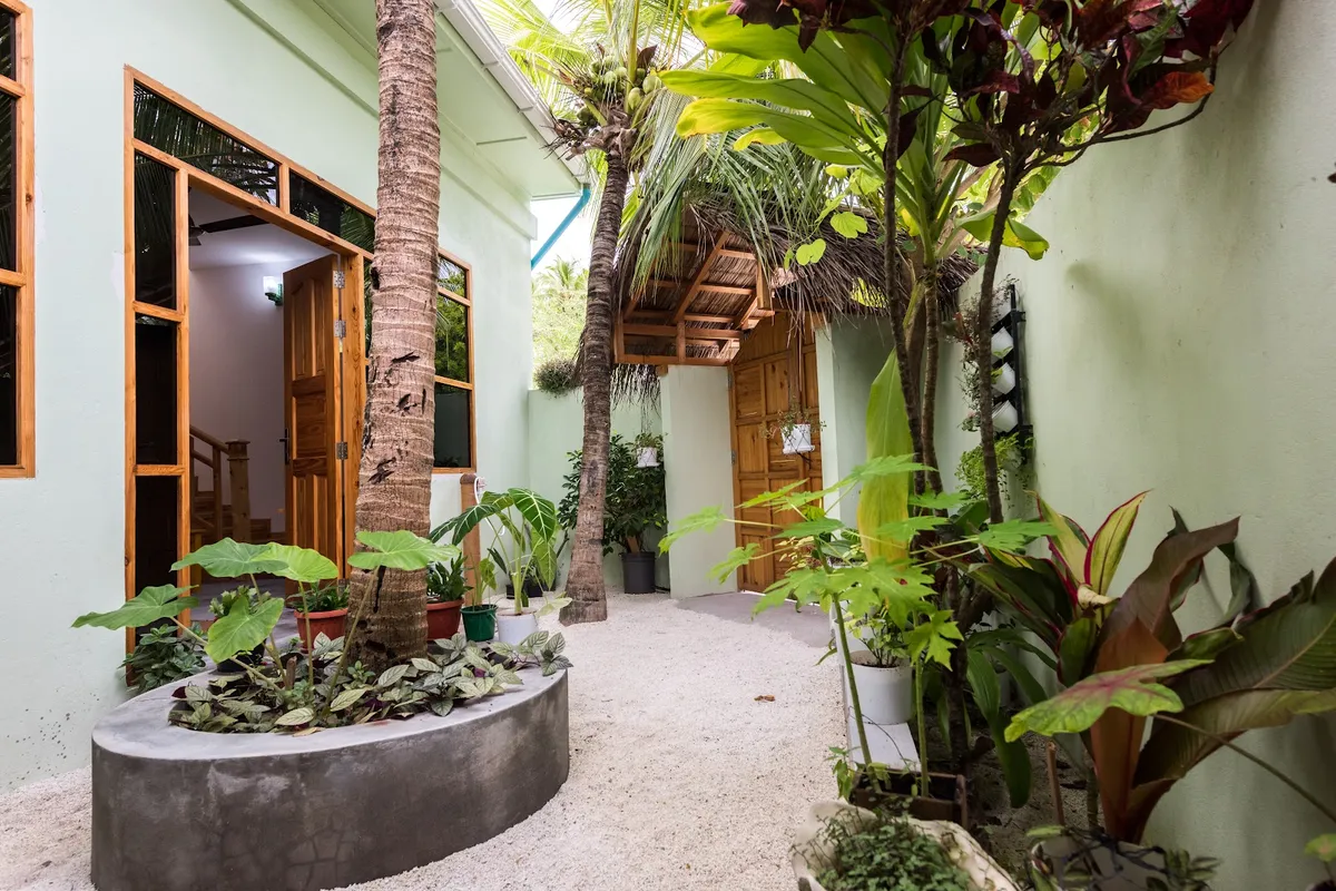 Isla Dhiffushi Travel Guide