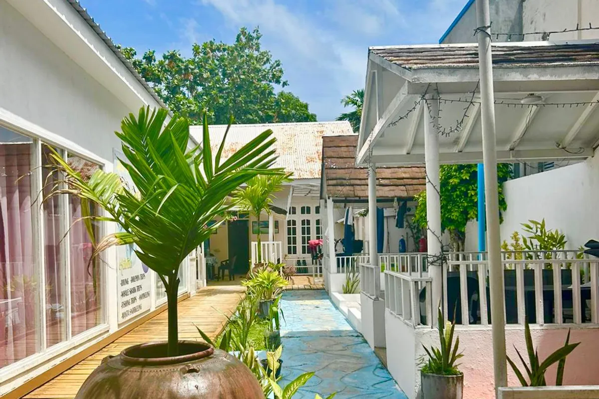 Local Travel Beach Maldives