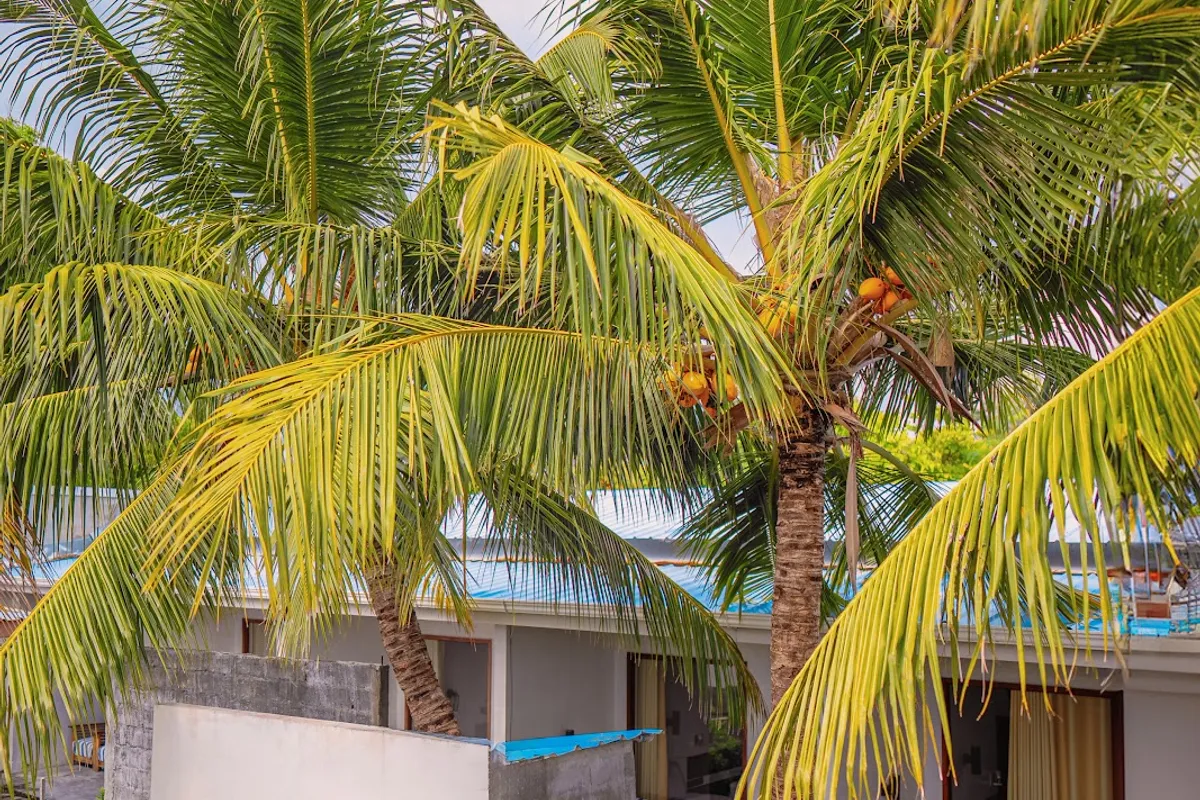 Madi Giri Guesthouse