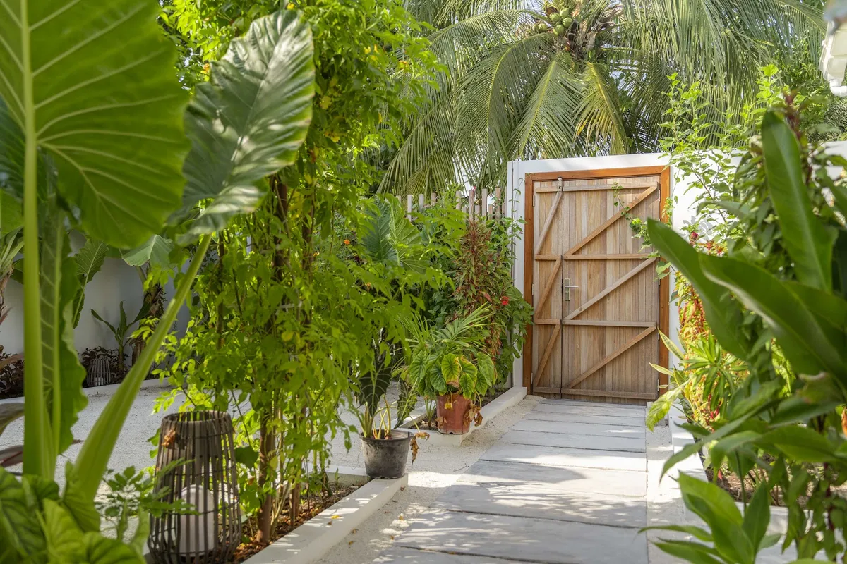 Oasis Dhigurah Travel Guide