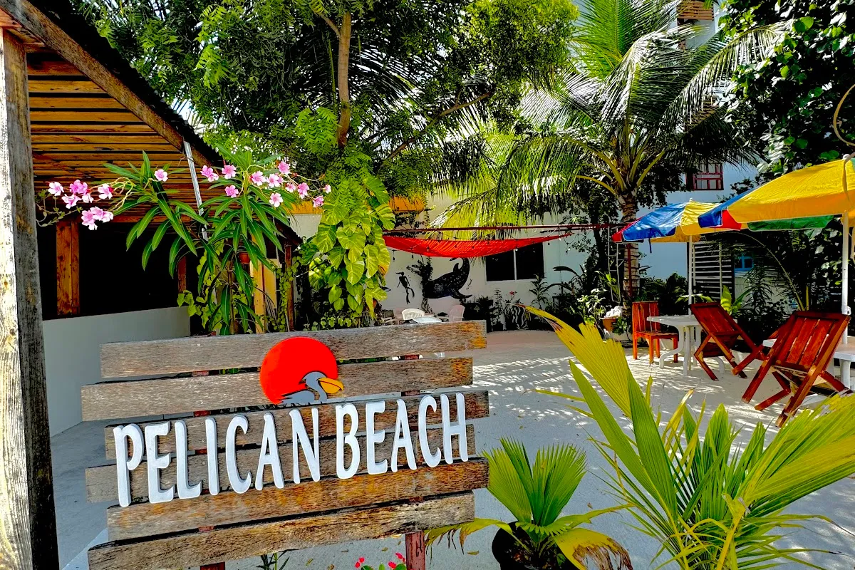 Pelican Beach