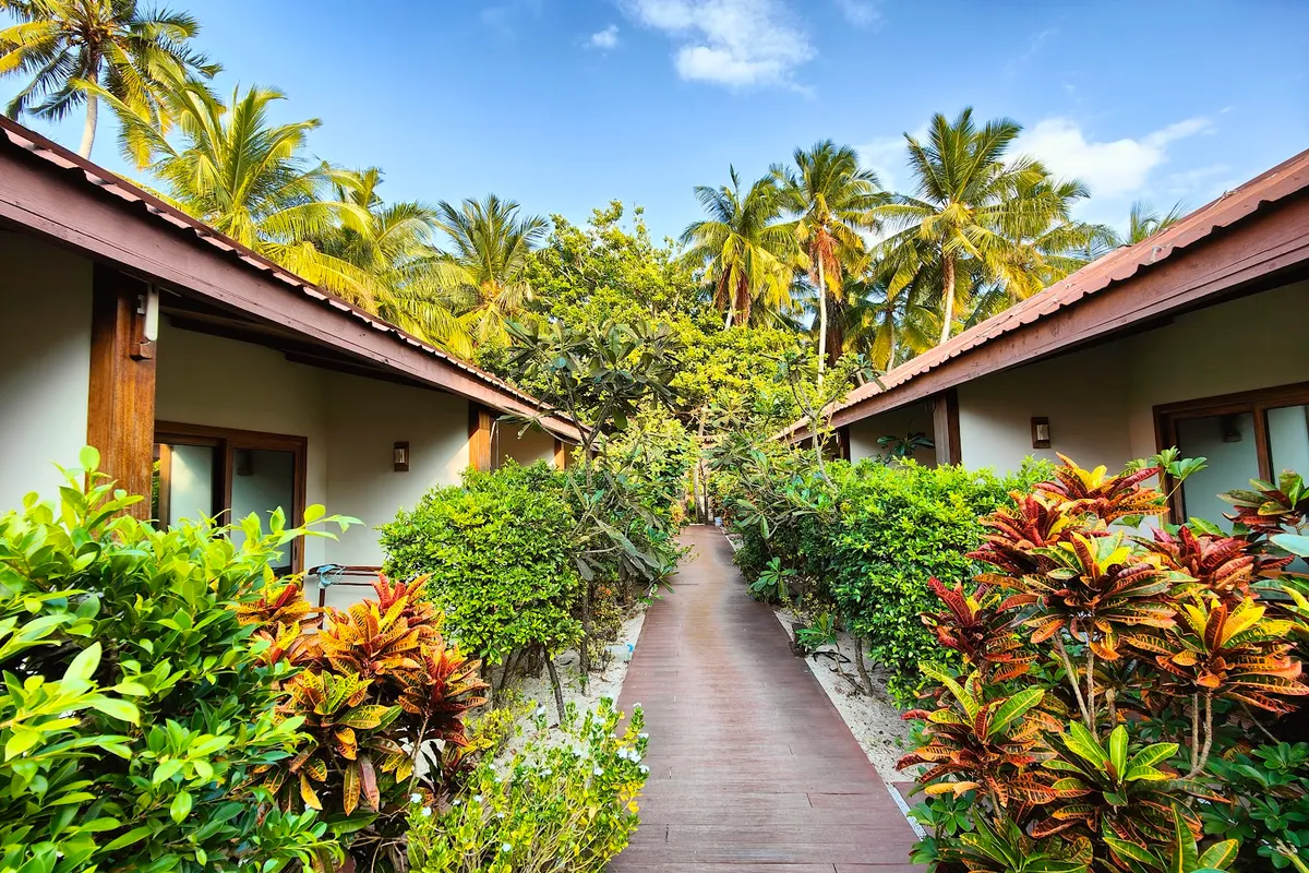 Plumeria Sea View