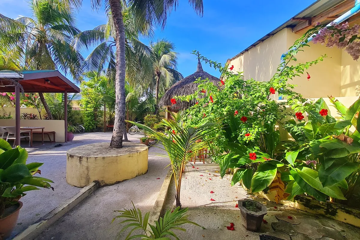 Treasure Island Lodge