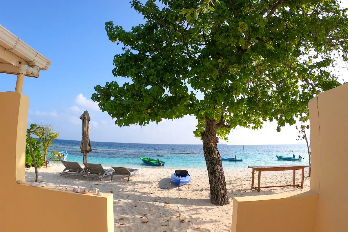 Villa Delfino Rinbudhoo – Your Authentic Maldivian Escape in Dhaalu Atoll