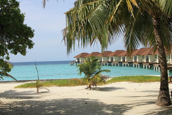 Beach Bungalow at Alimatha Aquatic Resort