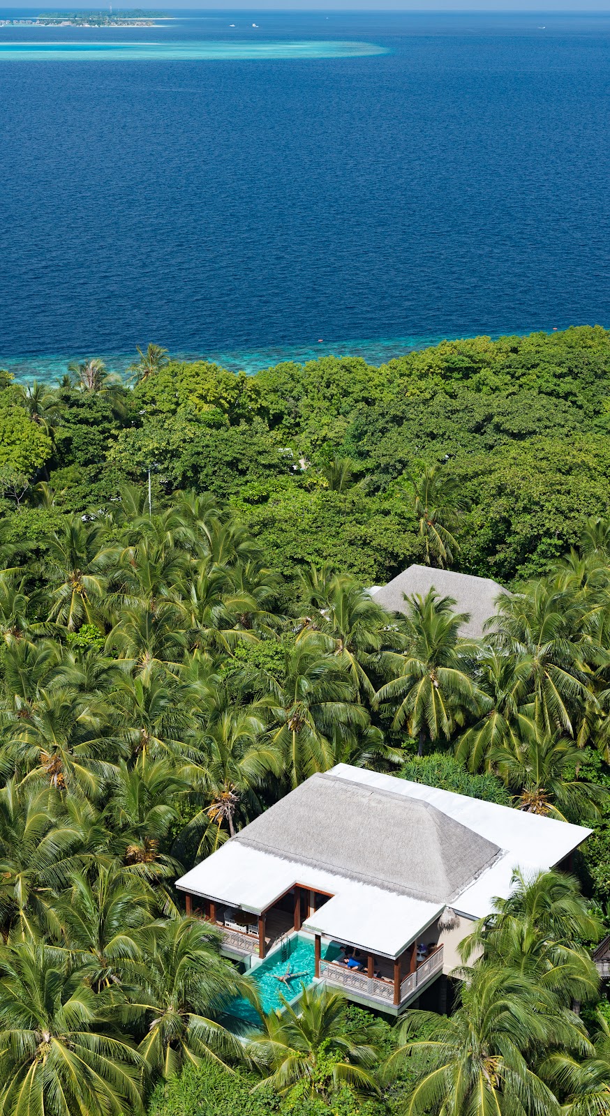 Tree Top Pool Villa at Amilla