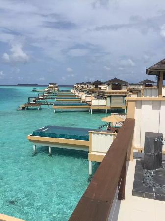 InOcean Pool Villa at Angsana Resort & Spa Maldives - Velavaru