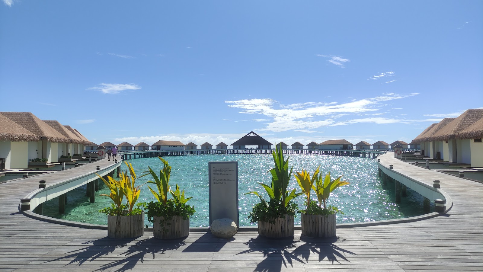 Cinnamon Velifushi