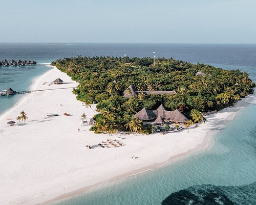 Deluxe Pool Villa at Coco Palm Dhunikolhu
