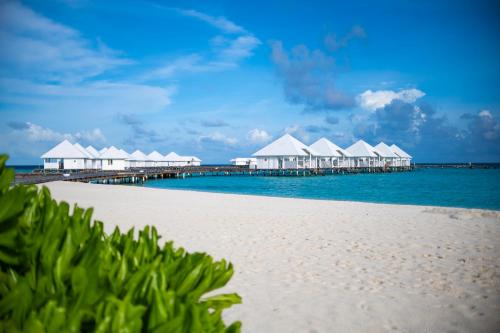 Beach Front Junior Suite at Diamonds Athuruga Beach & Water Villas