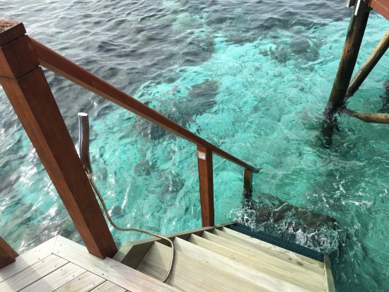 Water Villa at Mirihi Island Resort