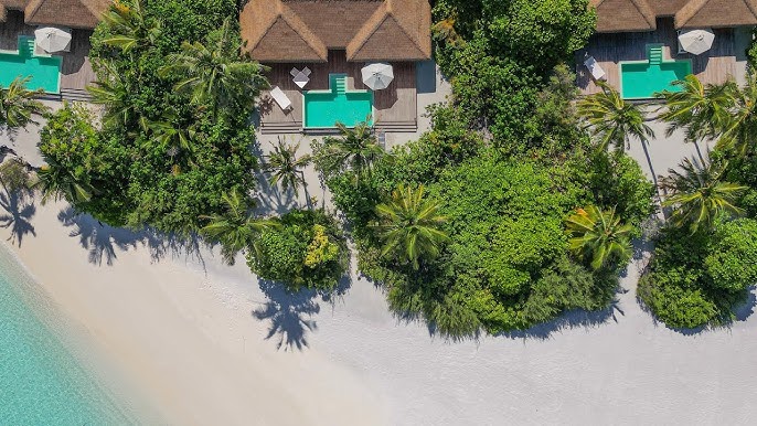 Beach Villa with Private Pool at Noku Maldives Vignette Collection