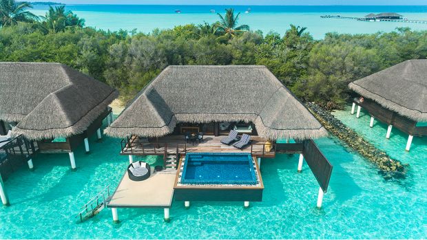 One Bedroom Ocean Suite with Pool at Taj Exotica Resort & Spa Maldives