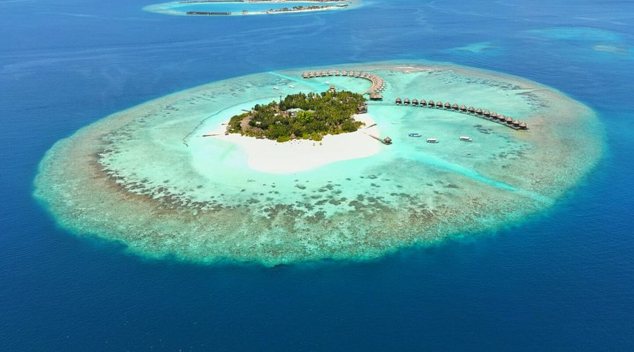 Beach Bungalow at Thulhagiri Island Resort & Spa