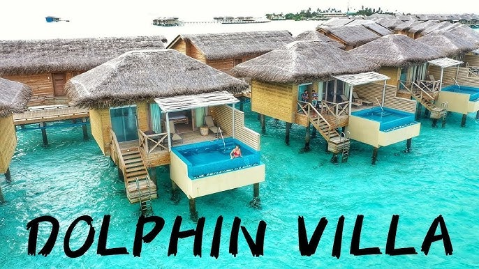 Dolphin Villa with Pool at You & Me Maldives